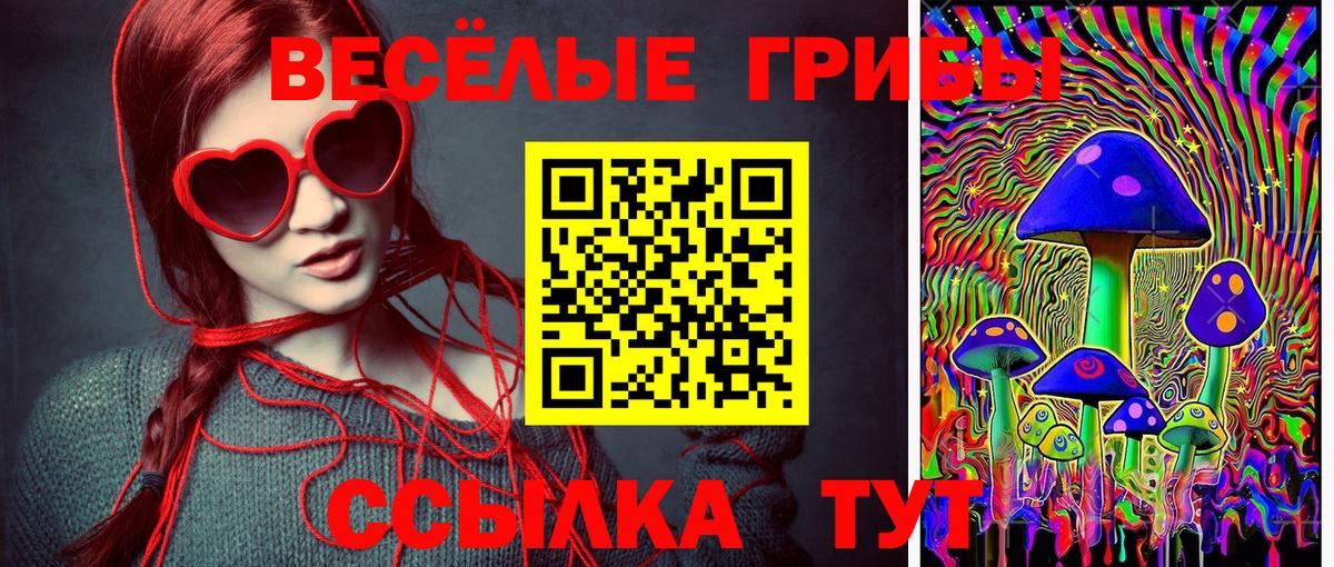 Галлюциногенные грибы прущие грибы Кандалакша