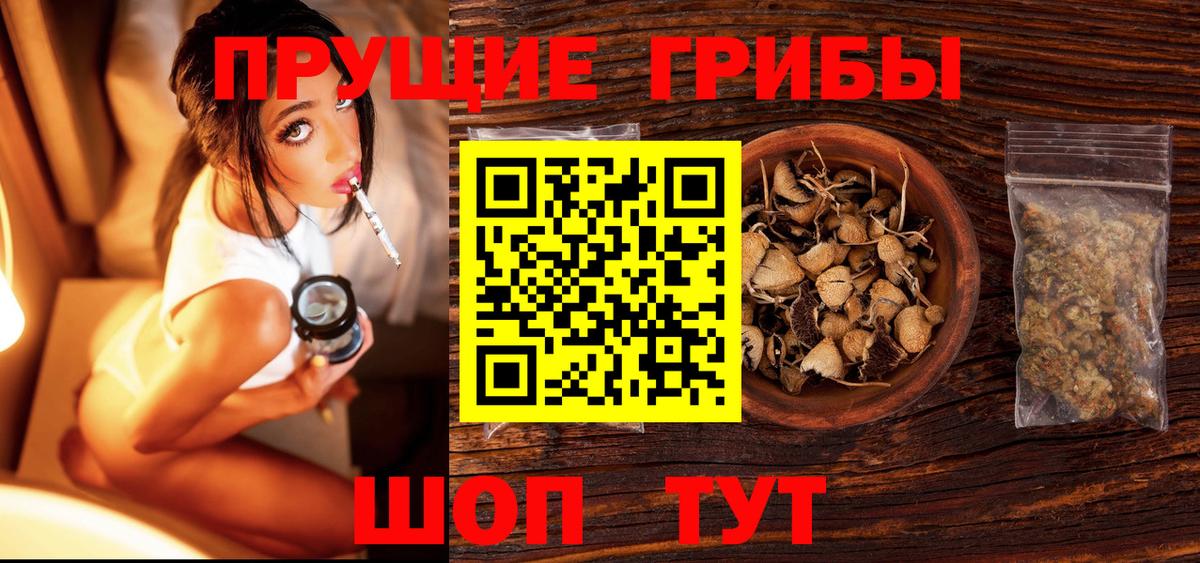 Галлюциногенные грибы MAGIC MUSHROOMS  Вход с VPN  купить наркотики цена  Кандалакша 