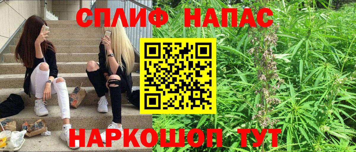 Каннабис конопля Кандалакша